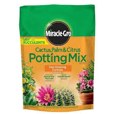 Citrus is a genus of flowering trees and shrubs in the rue family, which includes citrus fruits such as oranges, lemons, grapefruits, pomelos, and limes. Rvptq9tnvnupim