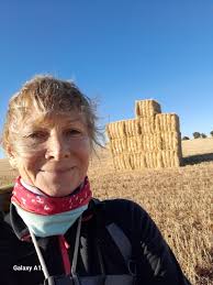 gracethepilgrim — Camino Torres