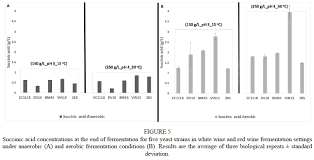 determining the impact of industrial wine yeast strains on