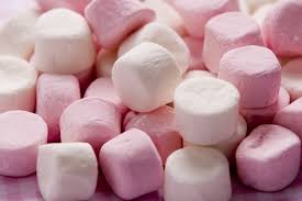 Cabang makanan marshmallow tongkat pohon ranting kayu kayu svg. Koko Dengan Marshmallow 17 Gambar Resipi Dengan Marshmallow Dan Minuman Kalori Bagaimana Memasak Dan Minum