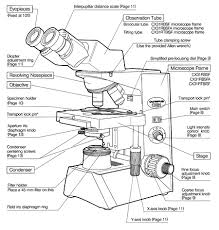 The Microscope
