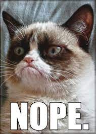 Grumpy Cat Memes Nope Grumpy Cat