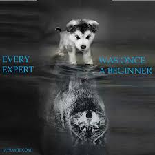 Every #expert was once a #beginner #quote #startup ...