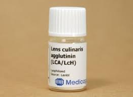 Image result for Lens culinaris