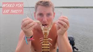 Giant spiders tend not to be aggressive, but they will bite to defend themselves or their egg sacs. Catch And Cook Biggest Shrimp Ever Would You Eat It Youtube