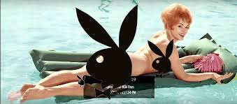 Image result for play boy magazine