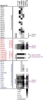 To respin the old joke: A Single Clonal Lineage Of Transmissible Cancer Identified In Two Marine Mussel Species In South America And Europe Elife