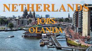 Locuri de munca in bucuresti. Arhive Locuri De Munca Olanda Oferte Munca