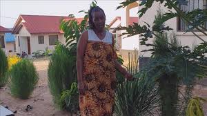 Find contact details of tanzanian banks by area or branch. Tanzania Banks On Herbal Remedy To Fight Coronavirus Turkishpress