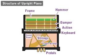 You may wonder how to remove lime scales. Part Names And Basic Terms Of Piano And Keyboard Sound House