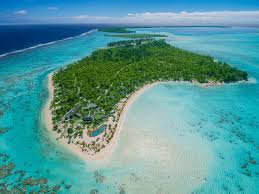 Around the resort enjoy scuba, excursions, paddle board, crafts while it's sometimes difficult to find all inclusive resorts in the are here are some of the top places to find all inclusive packages in tahiti and bora. Book The Brando Private Island Luxury Vacation Rentals By Zekkei