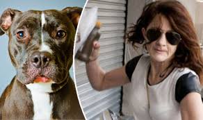 Repulsive Woman Faces Jail After Admitting Having Sex With Dog World News Express Co Uk