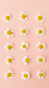 Download hd wallpapers for free on unsplash. Pastel Wallpaper Tumblr Pink Yellow Flower Wildflower Plant Pattern Textile Petal Daisy Floral Design 1263132 Wallpaperkiss