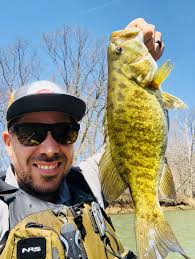 2018 Year in review — Qfor23