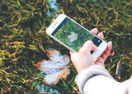 The standard covers multimedia files that can also include other media streams. Heic Not Supported Here S What You Need To Do