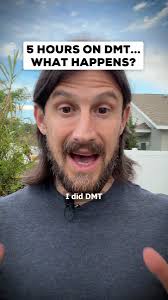 Rufus_2688 (@No_Curve)