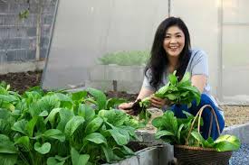 Kết quả hình ảnh cho bà Yingluck trồng rau