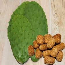 Guinea pig predominantly feeds on grass which is also their natural diet. Cactus Pads Tortoise Food