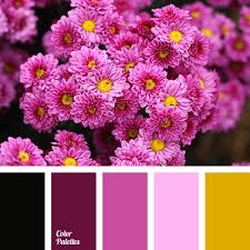 All orders are custom made and most ship worldwide within 24 hours. Dark Wine Color Color Palette Ideas