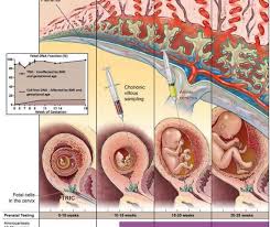 To do a prenatal paternity test, it can go upwards of $2,000 depending on your state. Dna Tests While Pregnant