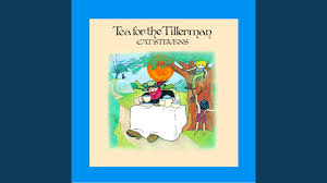 Cat Stevens Wild World Lyrics Genius Lyrics