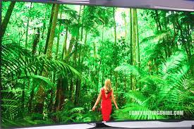 Oled Tv Vs 4k Led Uhd Tv Which Is Better 10 Point Test 2019