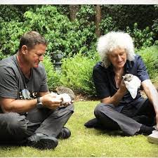 Tonight Channel 5 8pm With Steve Backshall Saving Britain S Hedgehogs Episode 2 The Climax See You There Bri Climax Steve Britain