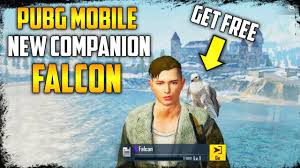 How to get companion in pubg mobile season 10 ll pubg mobile new bird companion falcon #pubgmobileseason10. How To Get Companion In Pubg Mobile Season 10 Ll Pubg Mobile New Bird Companion Falcon Youtube