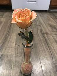 Check spelling or type a new query. This Real Rose Glass Dipped And Gold Lined I Got For My Mom 20 Years Ago Mildlyinteresting