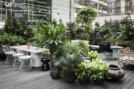 Duddell S Images Outdoor Garden Outdoor Restaurant Outdoor
