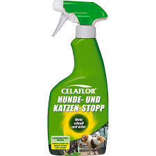 Spray gegen flöhe und zecken bei hunden und katzen. Celaflor Hunde Und Katzen Stopp Spray 500 Ml Kaufen Bei Obi