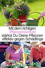 Pflanzenschutz Selbst De Pflanzenschutz Pflanzen Pflanzen Pflege