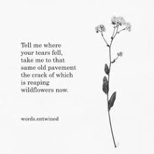 Over 50% short interest ; 120 Wildflower Ideas In 2021 Flower Quotes Wild Flower Quotes Quotes