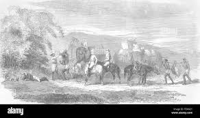 Pig sticking india hi-res stock ...