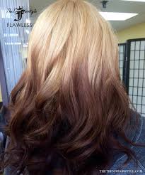 In case you thought high contrast couldn't look natural, this dark brown 'do with bronze and golden highlights weaved throughout demonstrates otherwise. Red Hot Ombre 60 Best Ombre Hair Color Ideas For Blond Brown Red And Black Hair The Trending Hairstyle