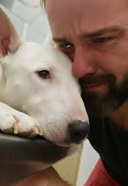 Coping with loss of a pet