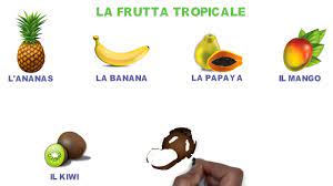 Check spelling or type a new query. La Frutta Lessico Italiano Youtube