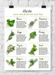 quick reference herb chart dabbles babbles