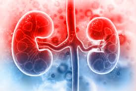 Renal disease can be divided into disease without failure of kidney function and kidney failure itself, which divides into chronic and acute forms. What Is Dialysis And Chronic Kidney Disease Dialysis Patient Citizens Education Center