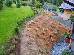 66in diesem film seht ihr verschiedene varianten für gestaltung im teichrandbereich. Hang Befestigen Bepflanzen Und Mit Der Boschungsmatte Bm350vor Erosion Schutzen Envirotek