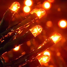 Halloween Party Lights 50 Orange Rice Lights On Black Wire Rice Lights Party Lights Orange Christmas