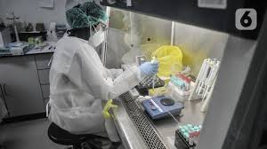 Harga Tes Swab Pcr Mandiri Maksimal Rp900 Ribu Persi Beberapa Rs Ada Yang Nombok Health Liputan6 Com