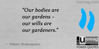 These quotes and proverbs inspire us . 7 Quotes That Motivate You To Lead A Healthy Life