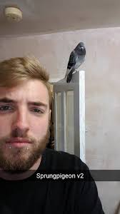 Lee Bradbury (@lankyprick96)