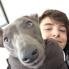 Stream Charlie Cavill music