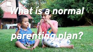 Becoming a parent enters you into a completely new and sometimes overwhelming world. Example Parenting Plans Wa Divorce Family Law