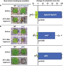 Cells function similarly in all living organisms. Endoplasmic Reticulum Derived Bodies Enable A Single Cell Chemical Defense In Brassicaceae Plants Communications Biology