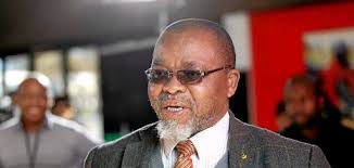He currently serves as the national chairperson of the african national congress. Interview With Minerals Energy Minister Gwede Mantashe Ee Publishers