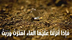 Tarjimha ت ــر ج م ه ــا Facebook