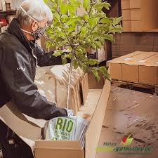 Unser garten shop bietet hilfreiche informationen und viele anregungen. Unser Pflanzenversand Gruner Garten Shop